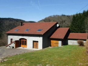 Grande maison familiale au cœur des Vosges avec poêle alsacien et proche cascade de l'Ognon - FR-1-583-105 Belfahy